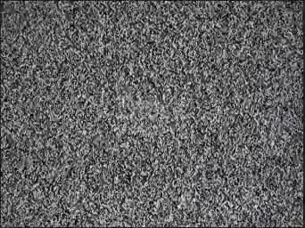 VID_20250424_194024