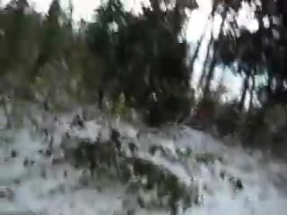 sledding wreckage [November 24th, 2007]