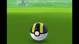Pokémon GO-Shiny Bagon