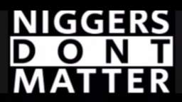Niggers Don’t Matter