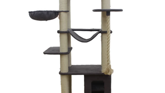 Multi-story big cat tree with cat house and hammock