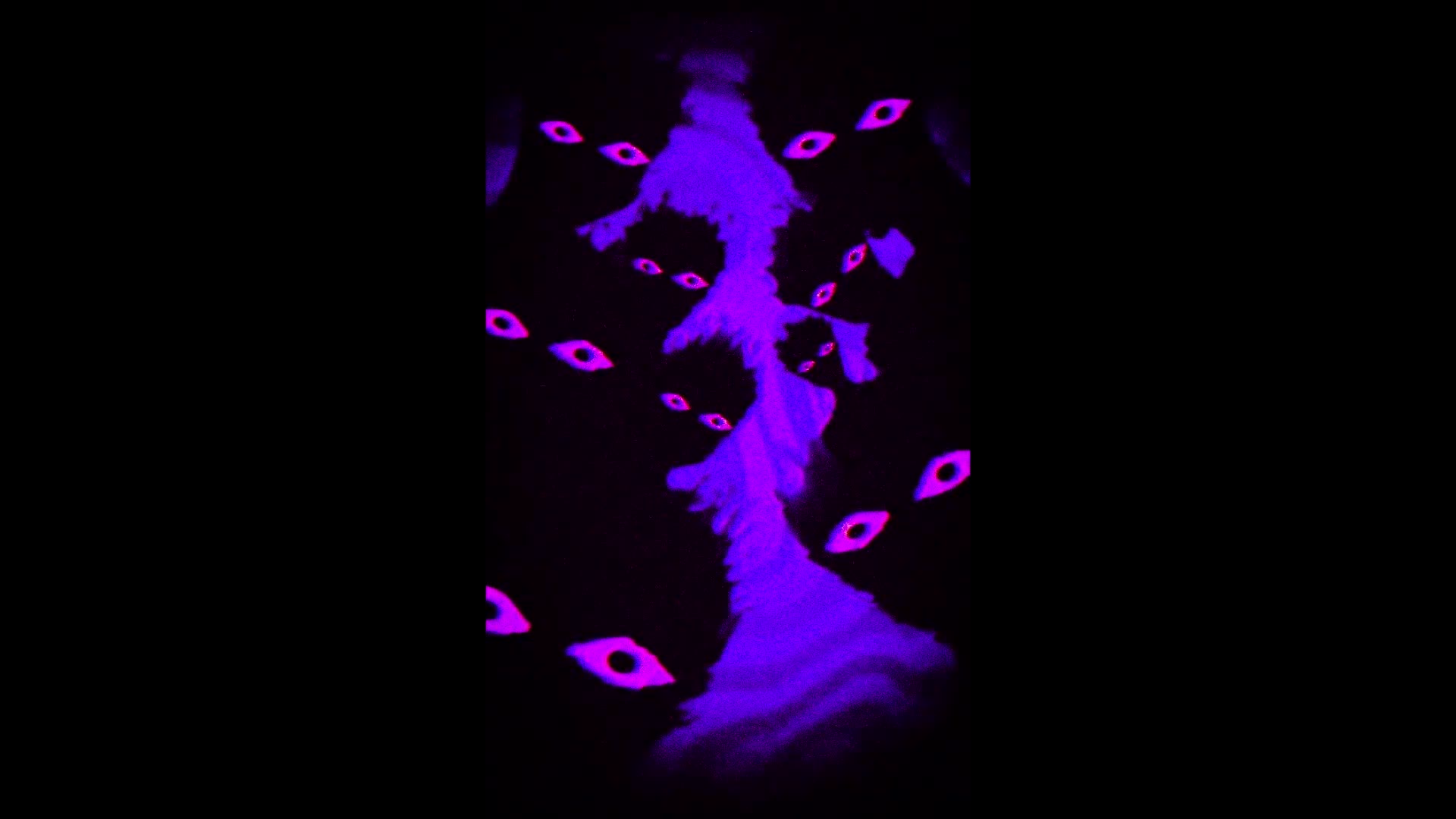 Butterfly Smile Slowed and Reverb