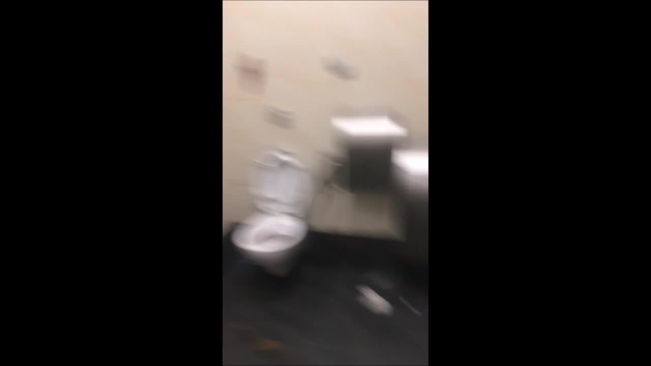 toilet