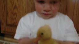 A Duckling Poops on a Little Girl