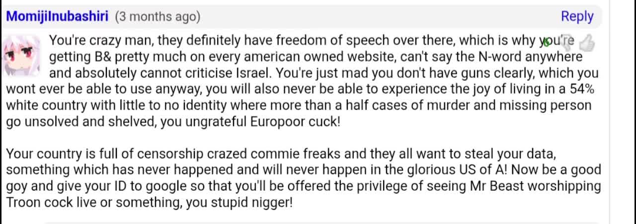 @MomijiInubashiri is a neo-nazi