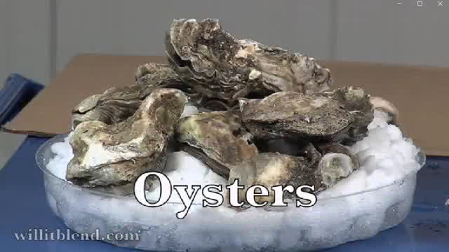 Will It Blend? - Oysters