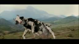a man fights with a cow funny fight scene.