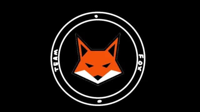 Team Fox - Muzistan Ball
