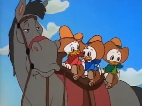 Duck Of The West