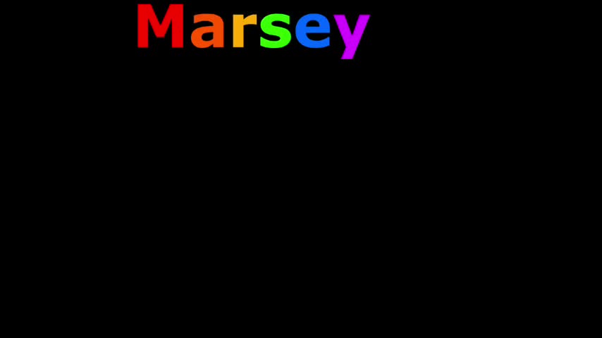 DJ MARSEY - THE NIGGER BEAR SONG V3