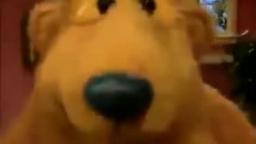 This bear can smell retards