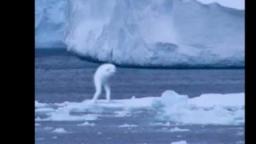 Ice Gondola