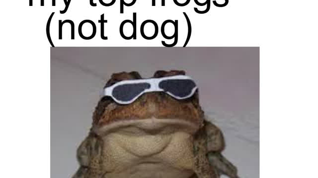 10 top frogz