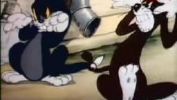Tom & Jerry: Sufferin Cats!