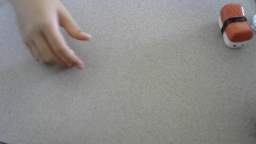 NEW ENGINE SWIMMING GOGGLES! NEW ENGINE SWIMMING GOGGLES!