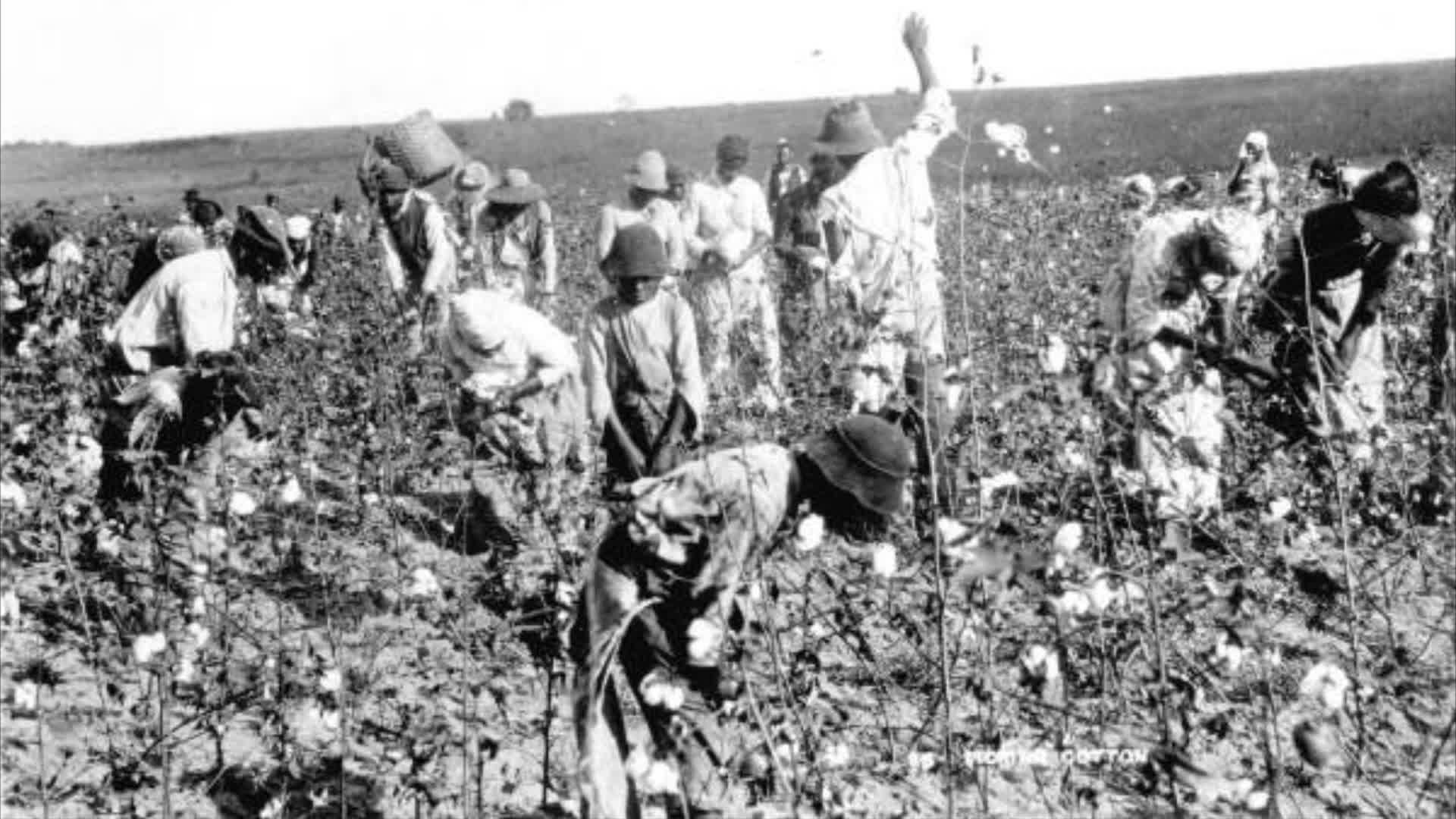 Ma Niggaz Didn’t Pick Enough Cotton