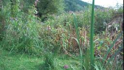 Kayaking on the Rur part 2 Kayaking on the Rur part 2