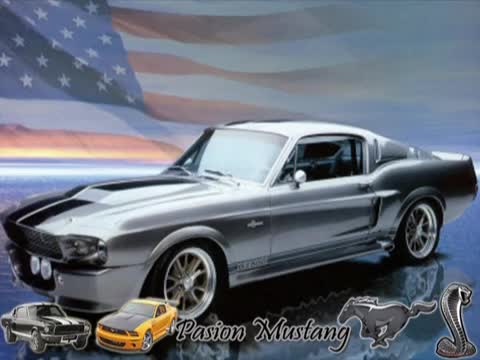 Pasion Mustang