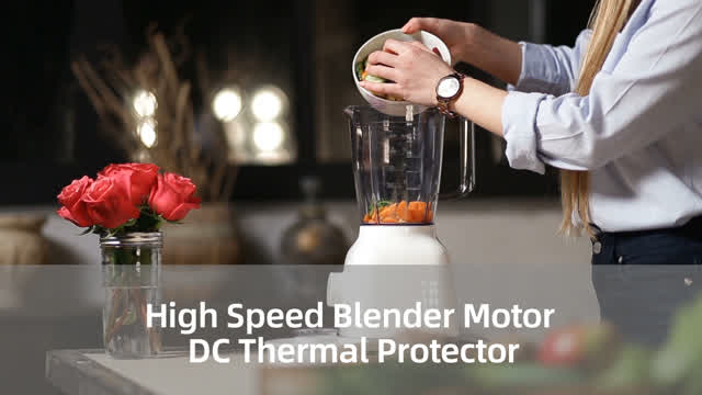 High Speed Blender Motor DC Thermal Protector