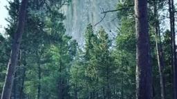 Devil’s Tower, Wyoming