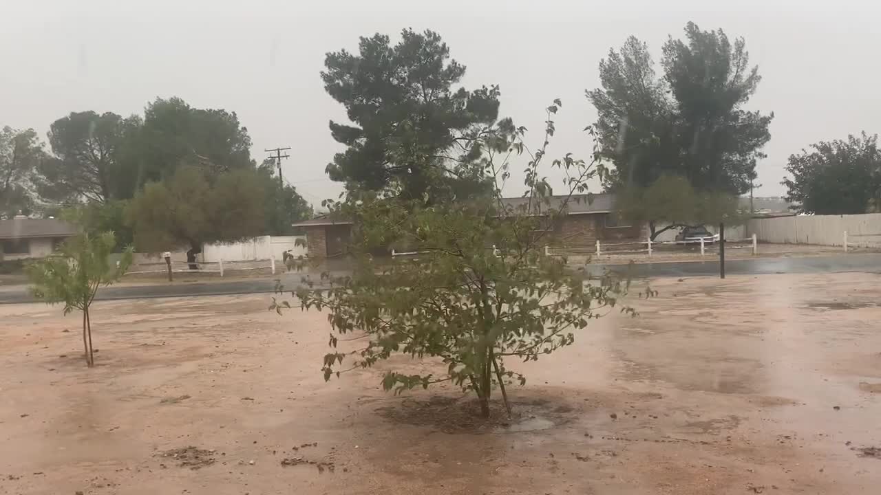 Raining Video