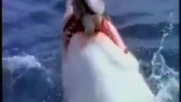 videoplayback 12
