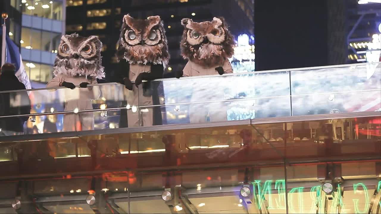 Owls Bridge