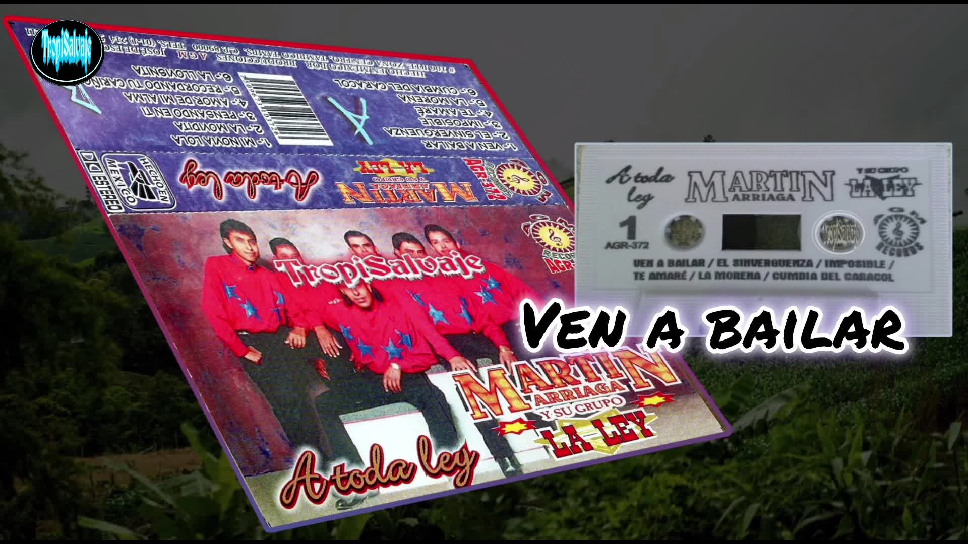 Martin Arriaga ven a bailar Martin Arriaga ven a bailar