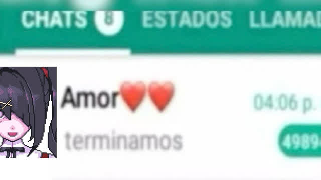 Mi diario