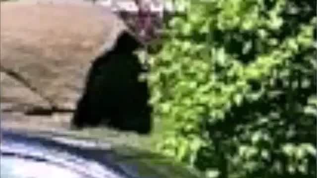 331 Google Maps parece haber capturado a un hombre invisible en una fotografía