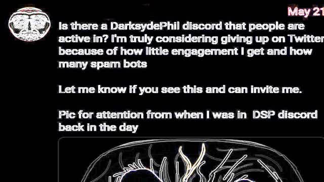 #thehorseisgone WHERE IS KAT? || The Last Known Conversation