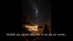 Tuzna je noc - Doris Dragovic - cu traducere romana