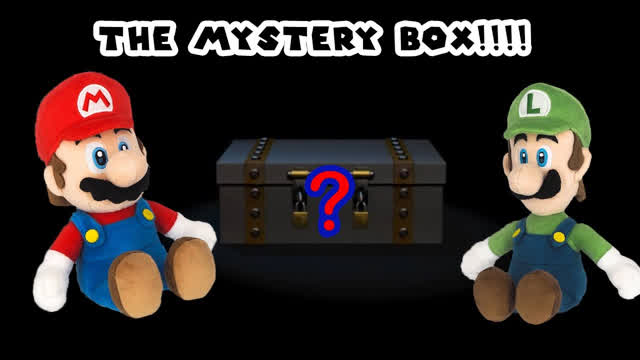 Mario’s Mystery Box Mario’s Mystery Box