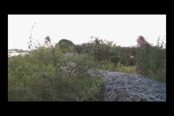 Daphnièle - D'amour et d'amitié