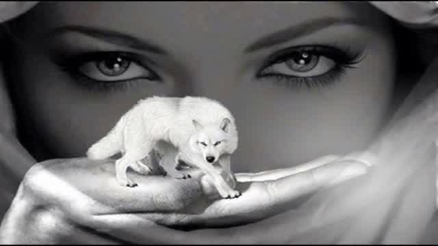 U.S. Backed Kurds Invade Iran