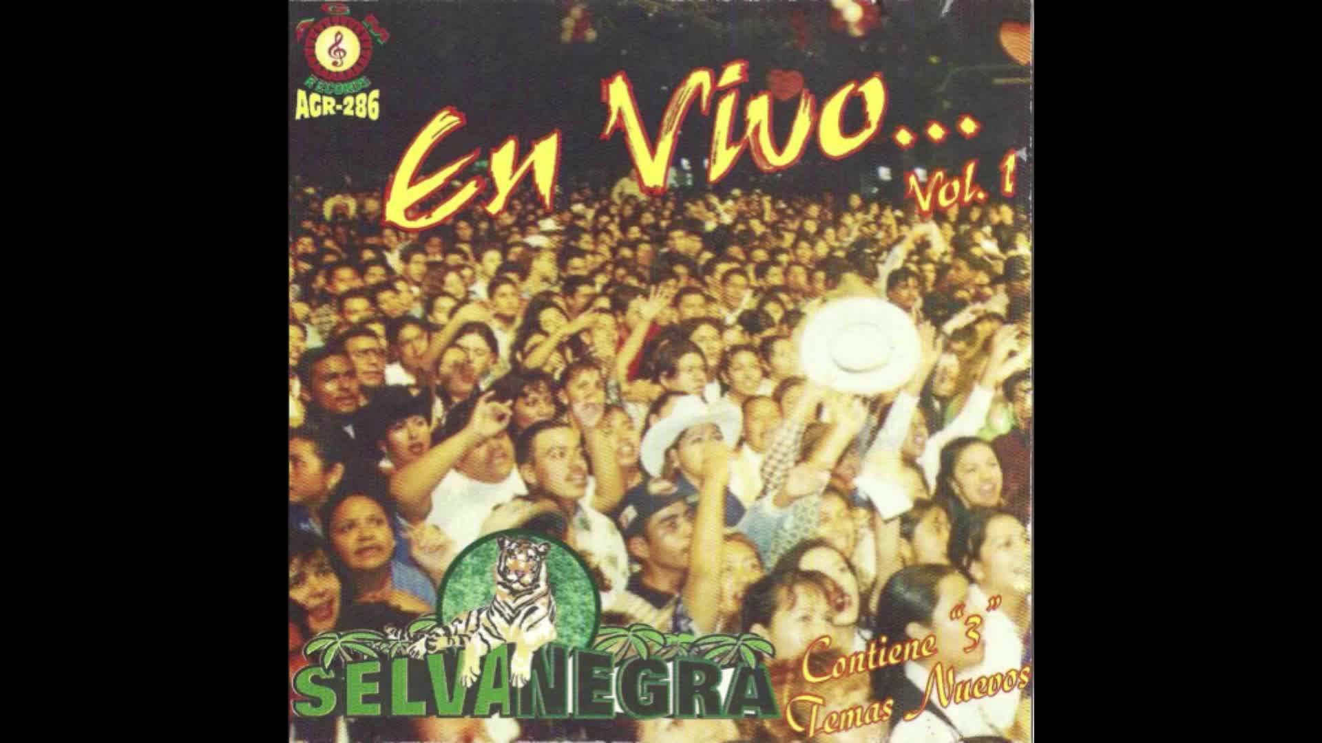 SELVA NEGRA LA NAVIDAD