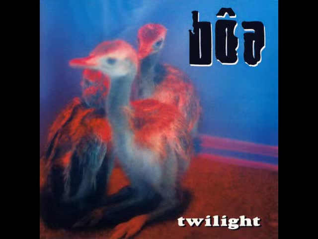 Bôa - Twilight