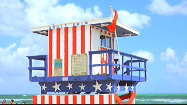 Adult Swim Independence Day (2025 and 2026) Bumps