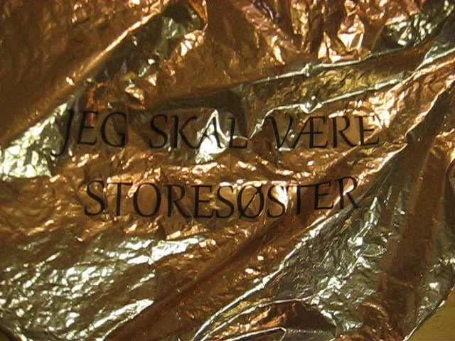 Mylar Balloon saved from tree outside