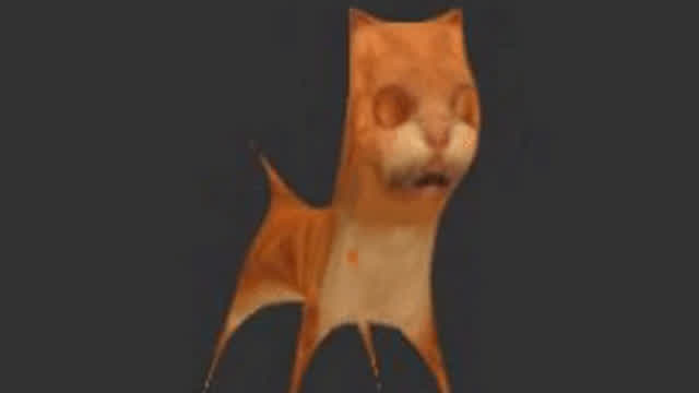 what the fuck