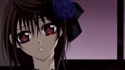 Vampire Knight Evanescence AMV