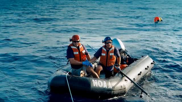 IMAX - Ballenas Jorobadas 2/2