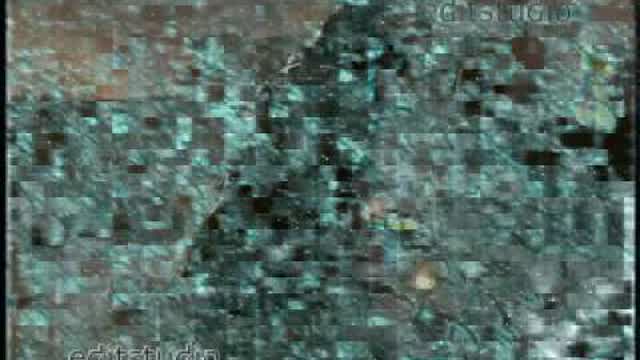 Youtube Poop Hispano:Calamardo Es El Mejor Jugador En Call Of Duty Youtube Poop Hispano:Calamardo Es El Mejor Jugador En Call Of Duty