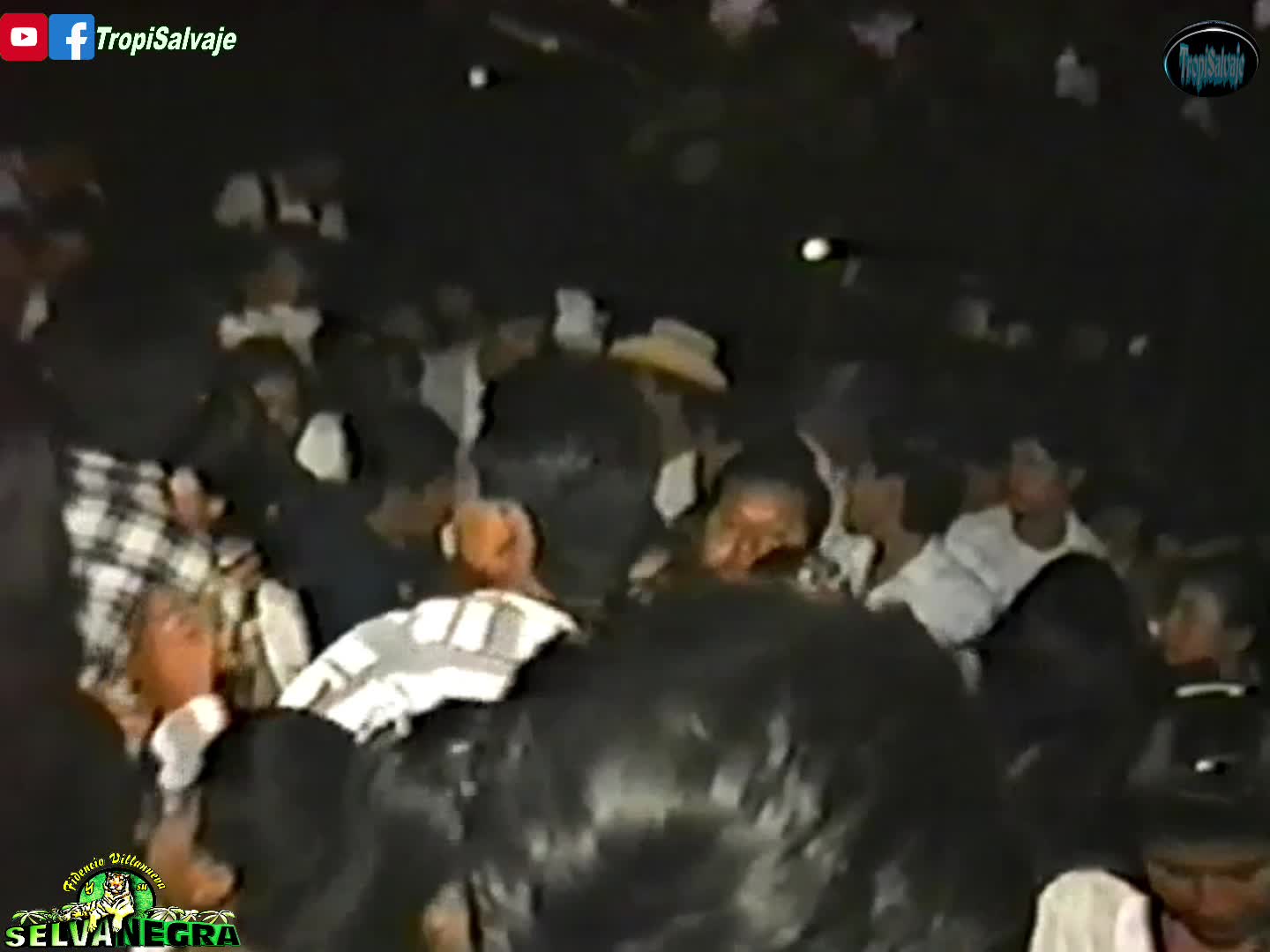 Dime la verdad Selva negra en vivo 1995 Dime la verdad Selva negra en vivo 1995