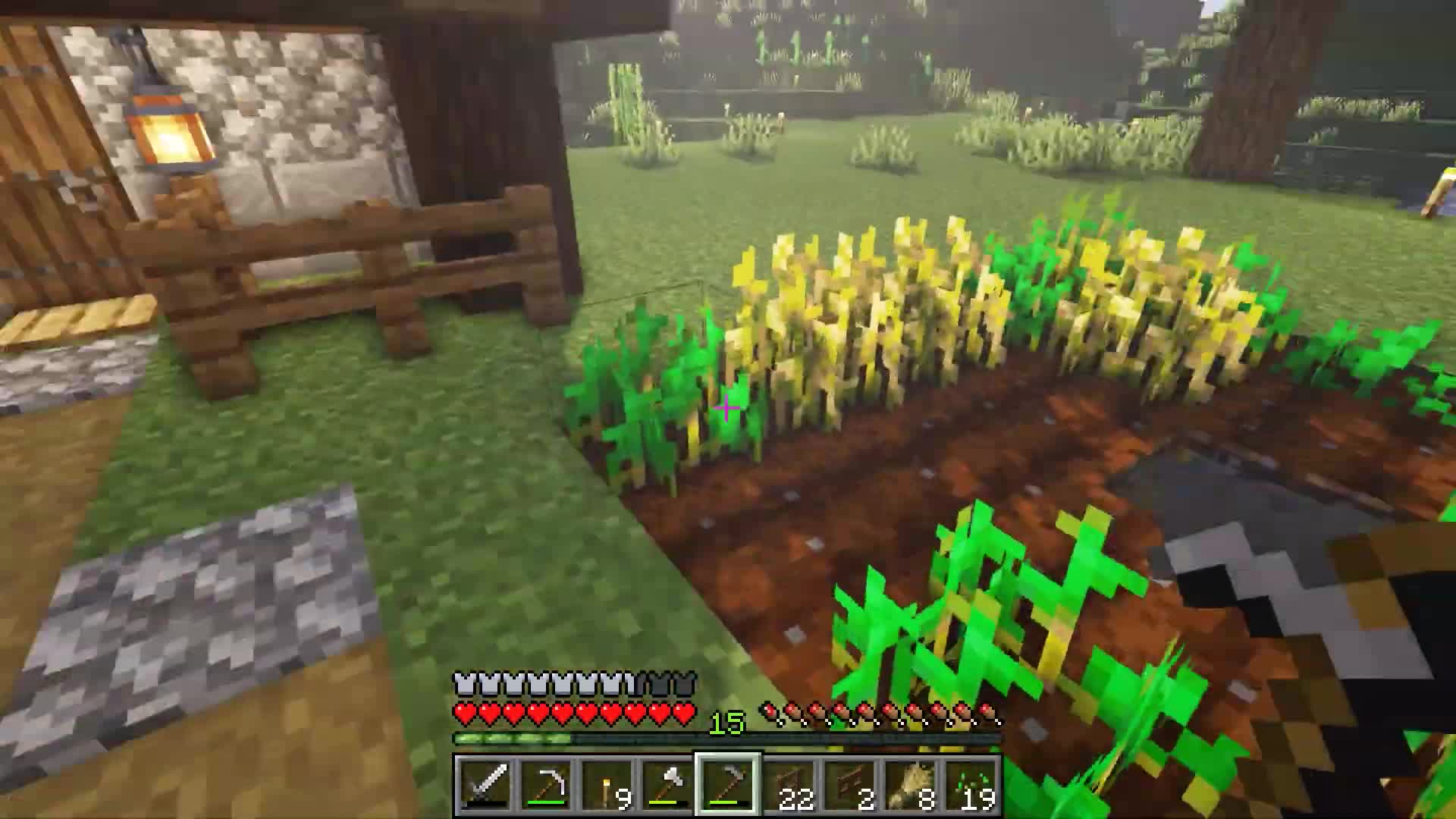 Minecraft Longplay Episode 4 - Mining, Animal Farming, and House Decorating (No Commentary) - 4of10
