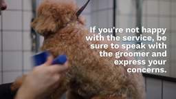 The Convenience of Mobile Pet Grooming