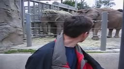 Me at the zoo (First YT Video)