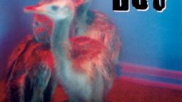 01 Bôa - Duvet