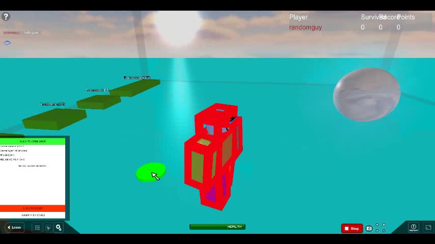 robloxapp-20110228-21 4431