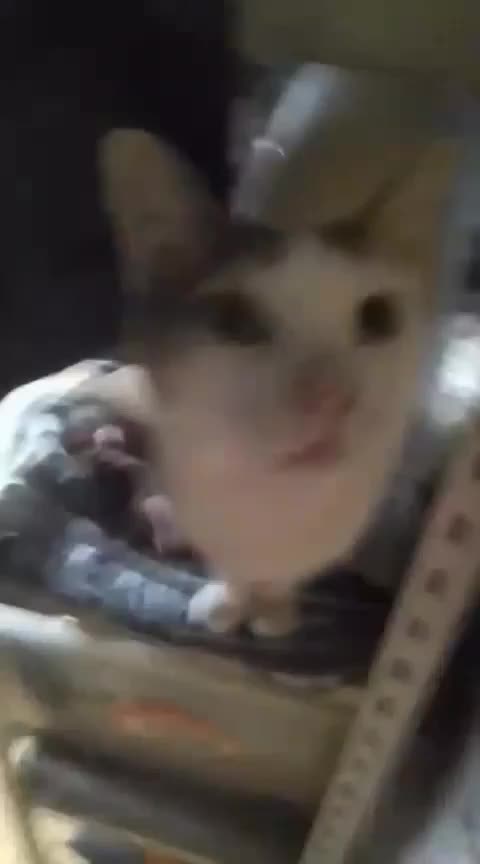 Hiiii heyyyy hiiii :)